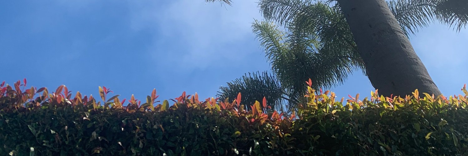 vadr_'s profile banner image