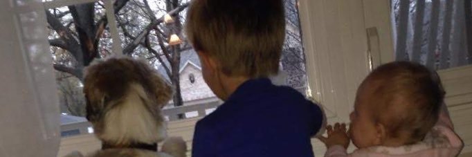 Lou Pagano II banner