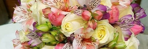 Sohrab Shirali banner