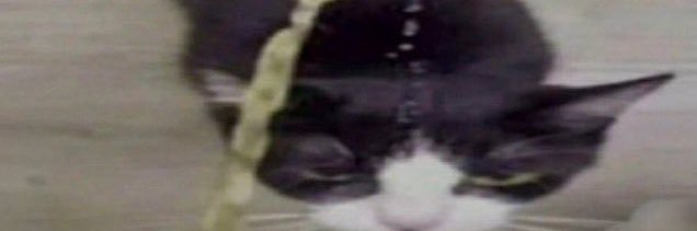 Hypronic's profile banner image