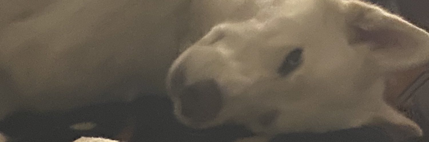 Sherry1lp's profile banner image