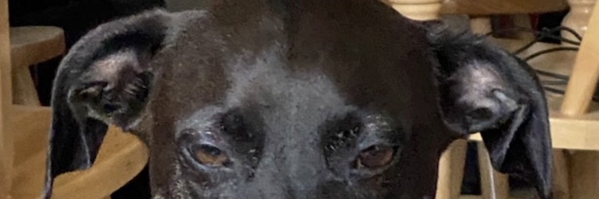 RyMills20's profile banner image