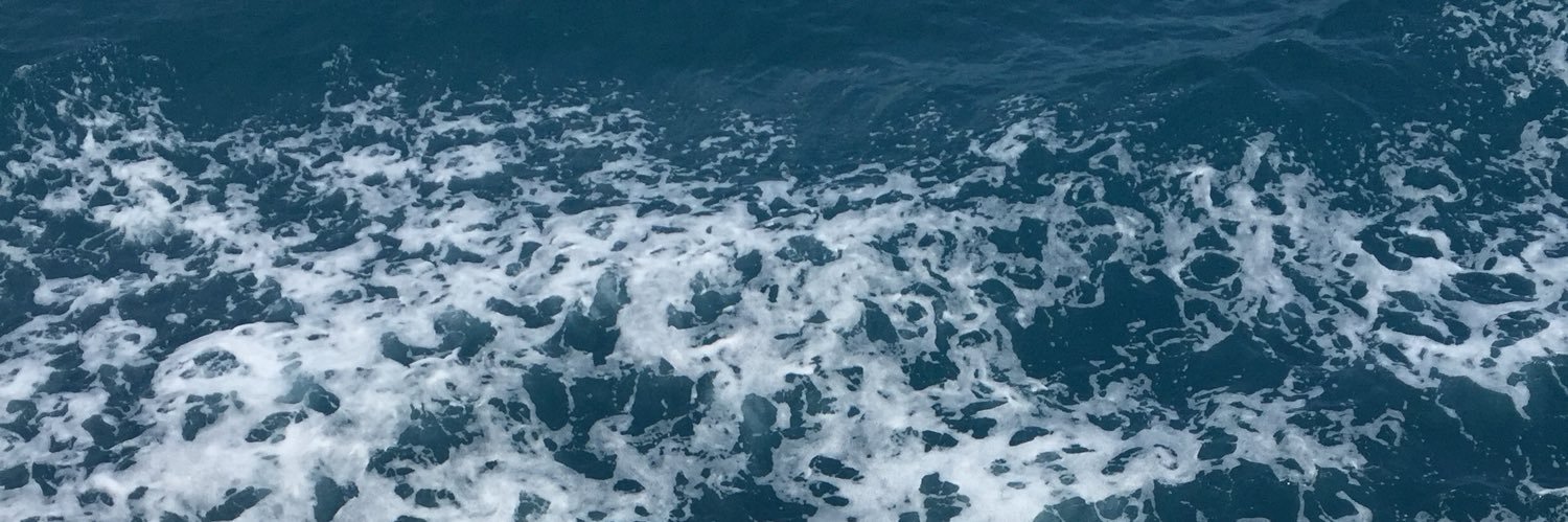 _ssarp_'s profile banner image