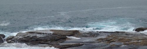StormiSeas's profile banner image