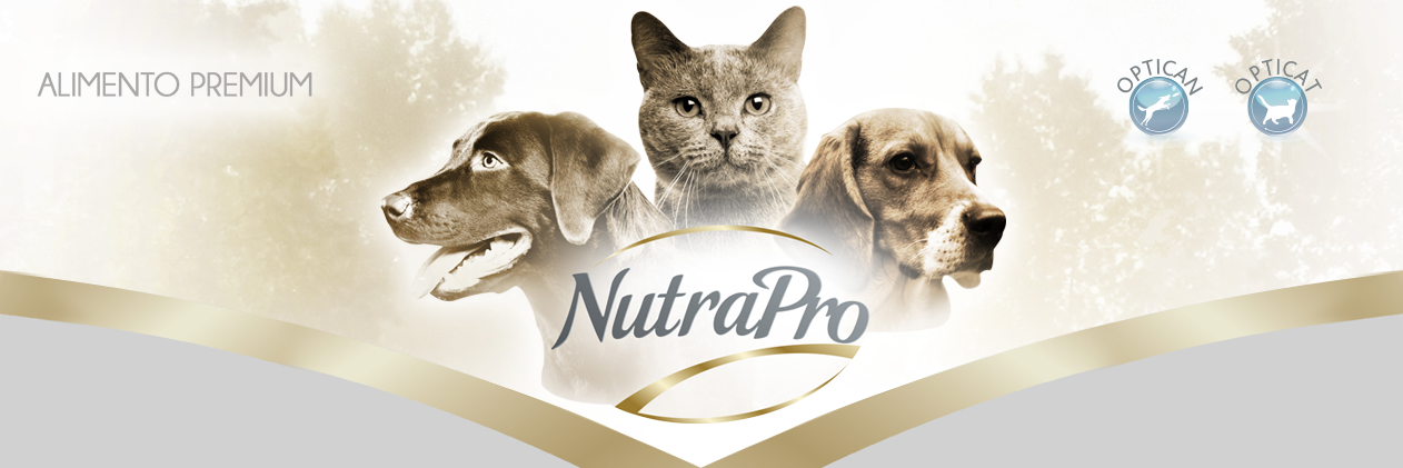 NutraProEc's profile banner image