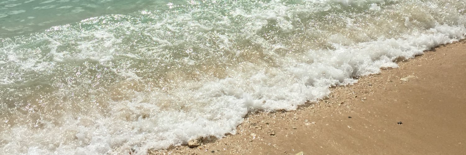 Nicole Foster banner