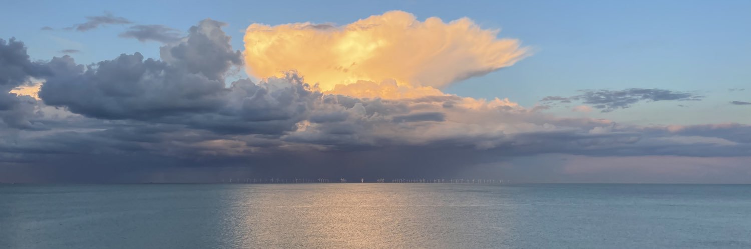 Larah Simpson banner