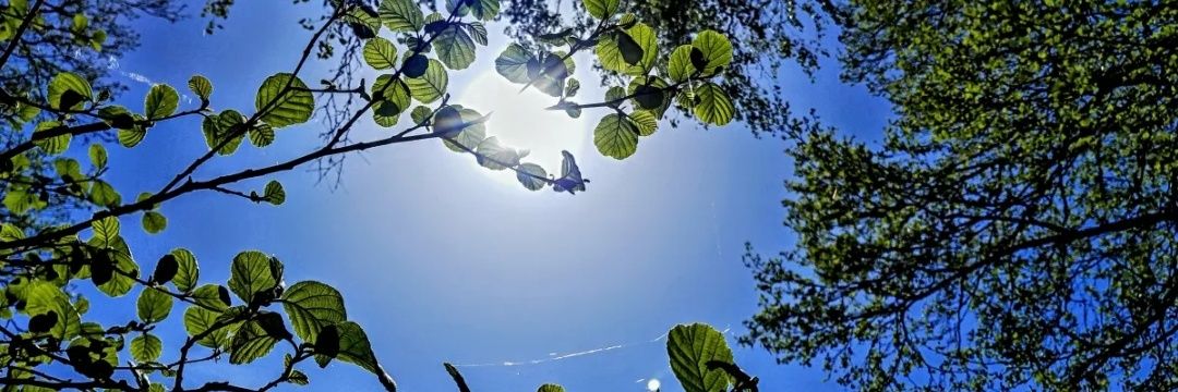 Himmat Rathore banner