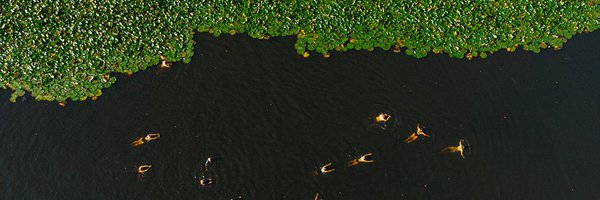 TheGoodLifeExp Profile Banner