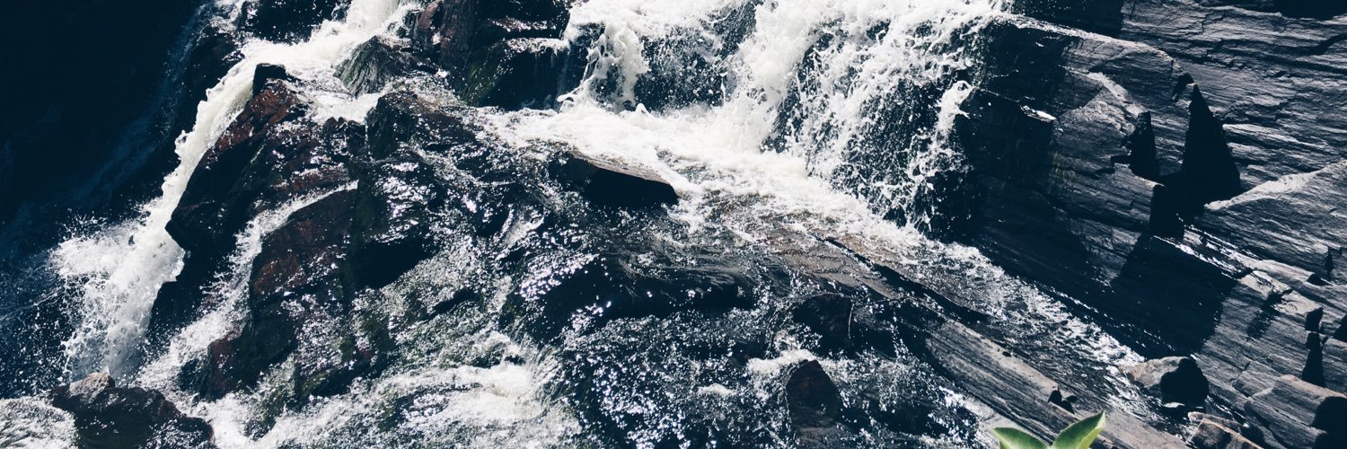 alix_gt's profile banner image