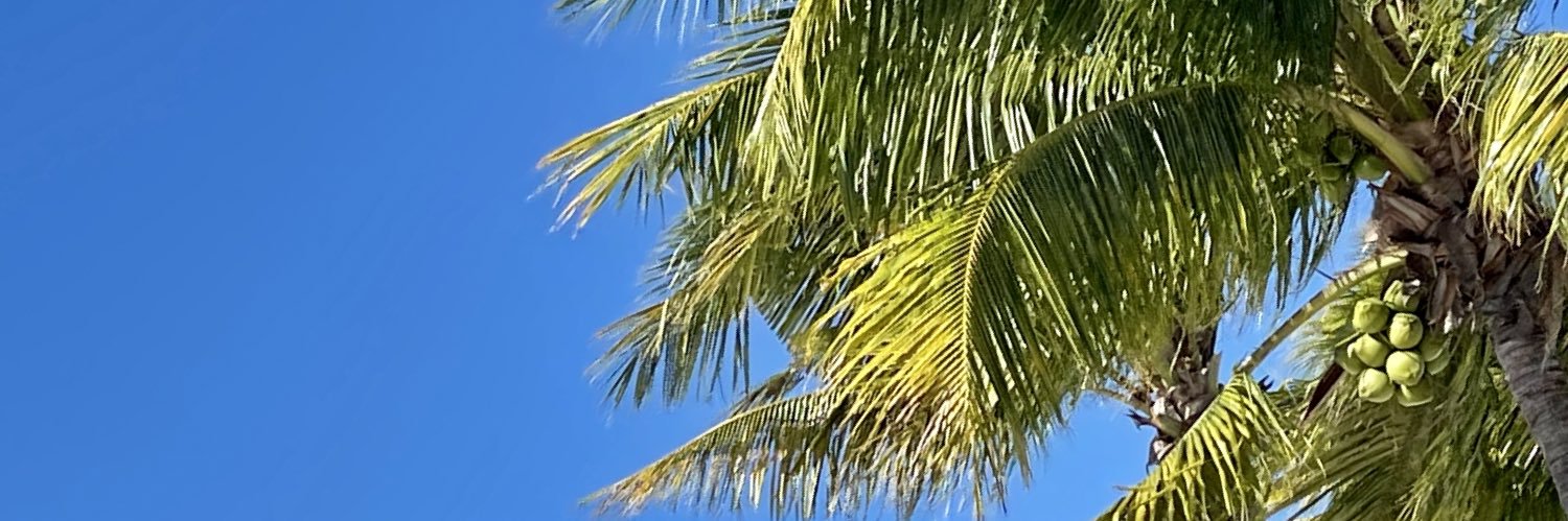 mrstechbrarian's profile banner image