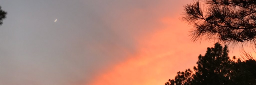 CallisonKathy's profile banner image