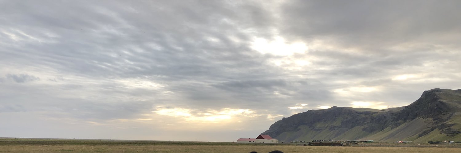 father raul pudd banner