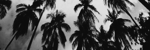 JaiRPGNC's profile banner image