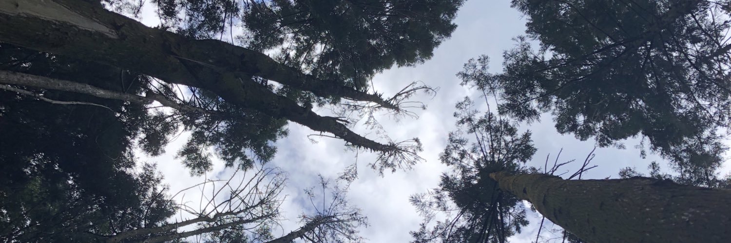 tetutarouaaa's profile banner image