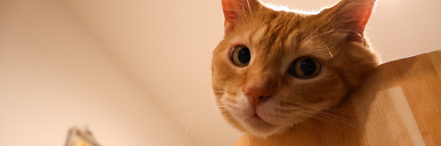 le5555ss's profile banner image