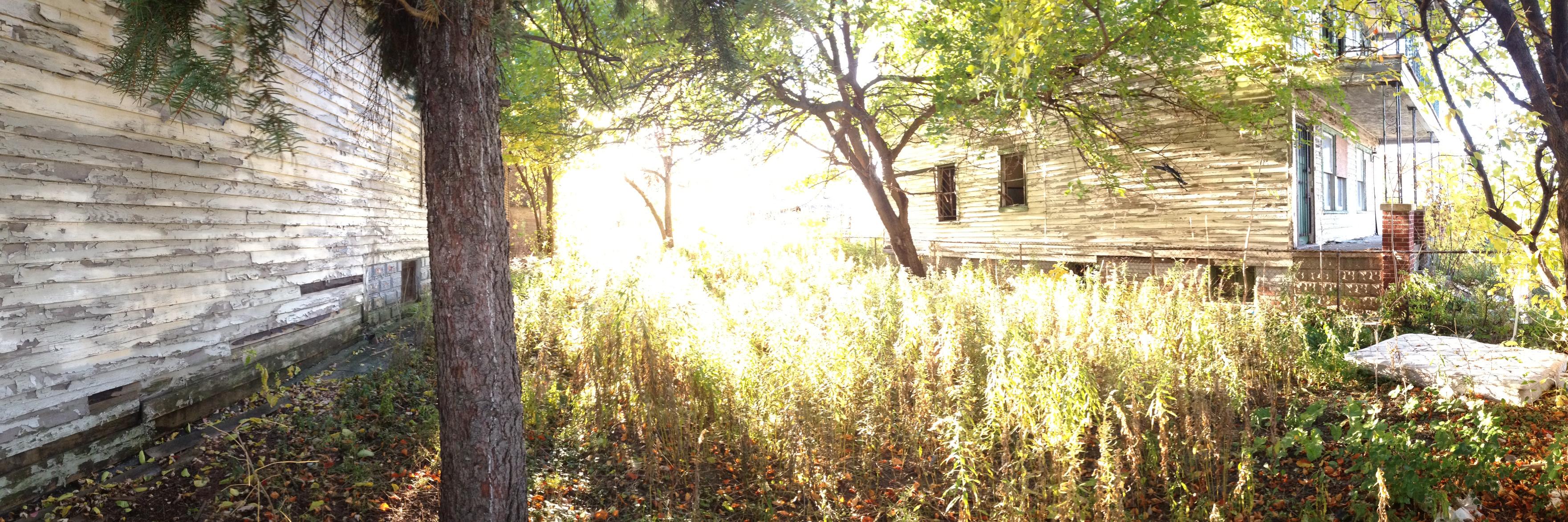 thisflowerhouse's profile banner image