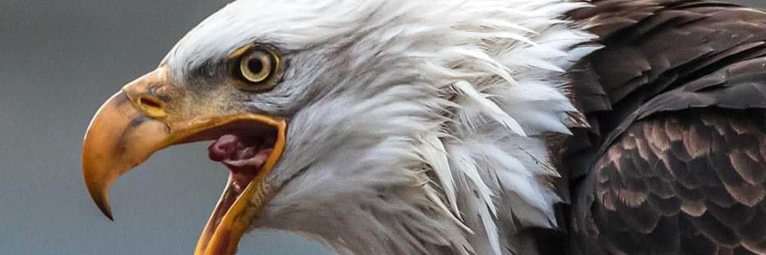 ElBetoT's profile banner image