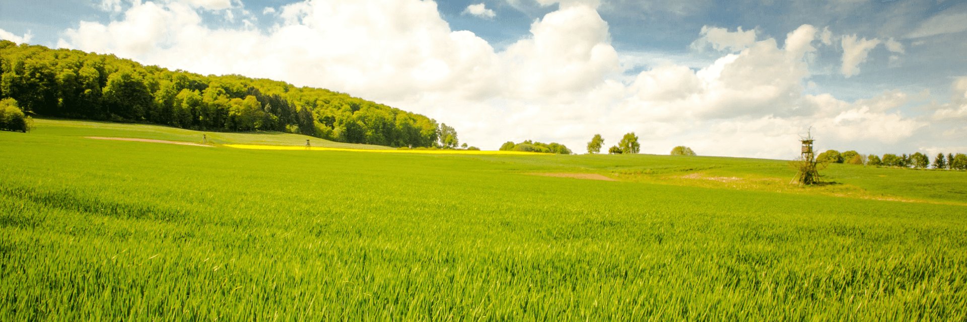 FENAPROT banner