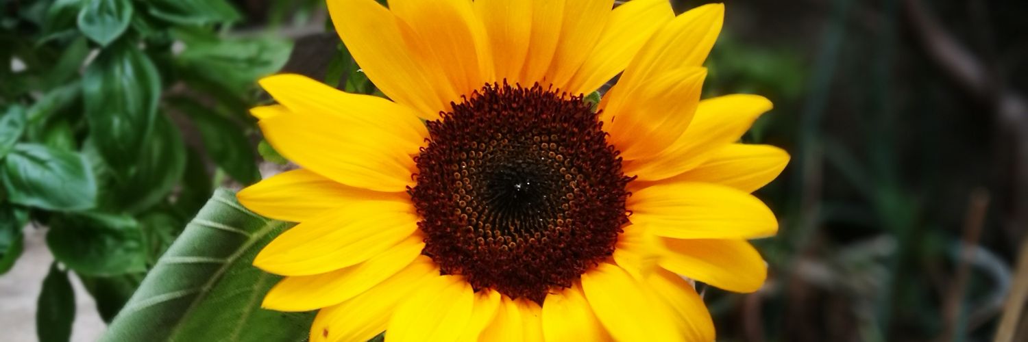 eksville's profile banner image