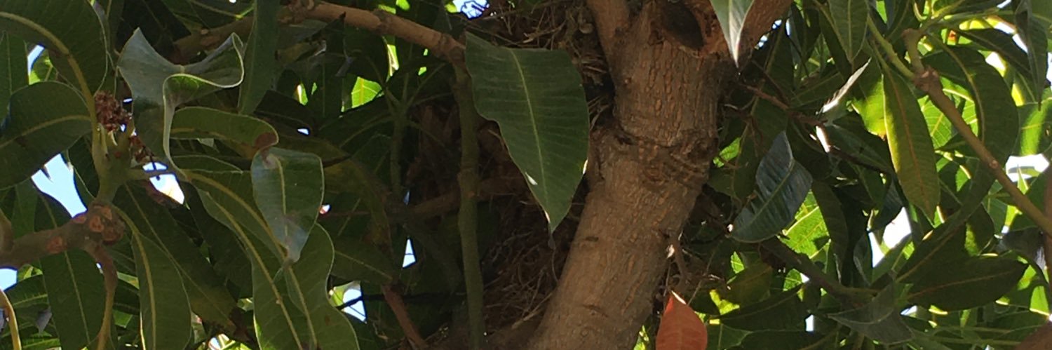 Lic_HR's profile banner image