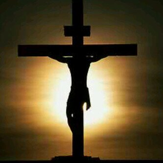 Ashley Calvert banner