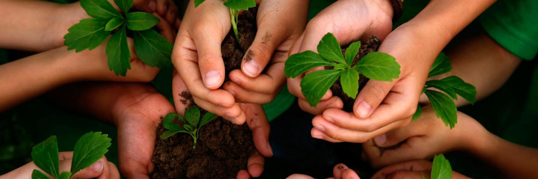 greenOFFICEza's profile banner image