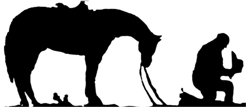 TheNaturalVet's profile banner image
