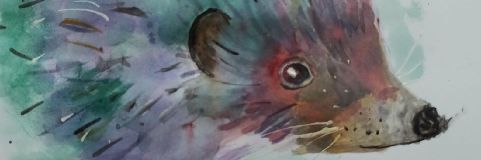 Ali Fitton banner