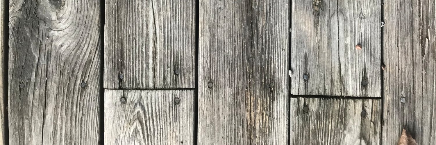 emelietextorius's profile banner image