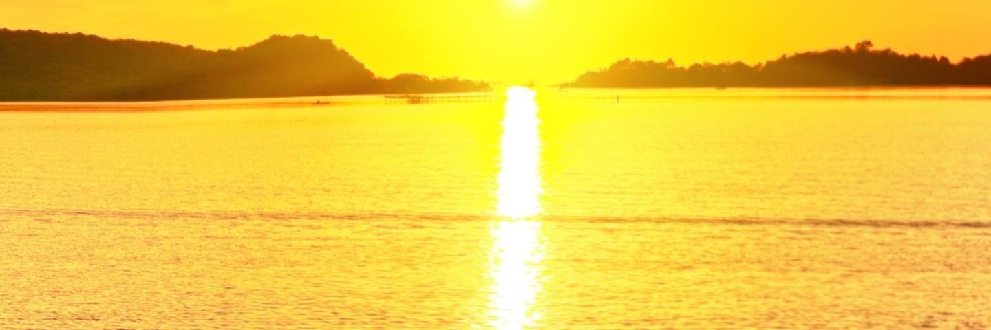 riathonkala's profile banner image