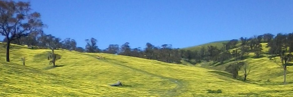 Anne-Therese McMahon banner