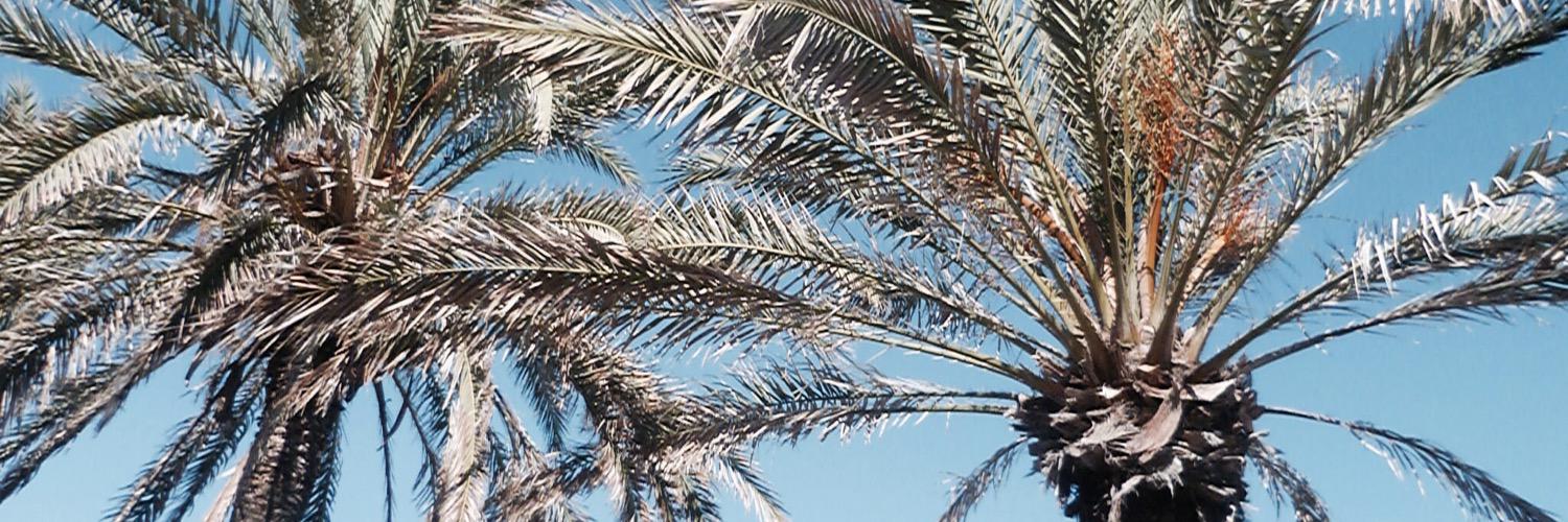 RobynClarkeyy's profile banner image