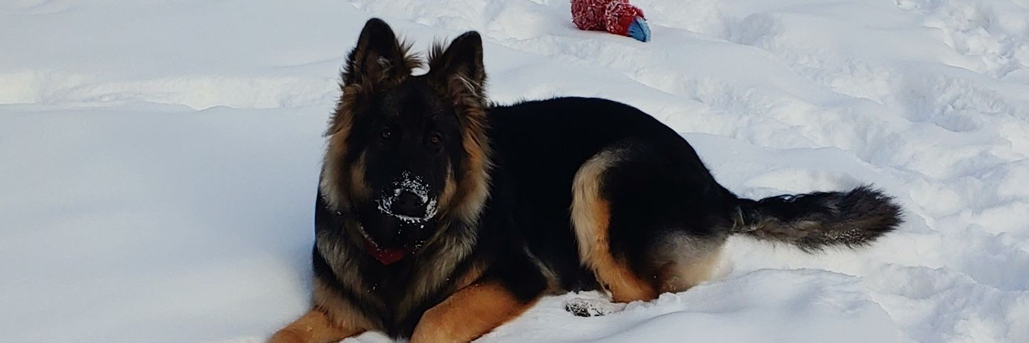 Gary Thompson banner