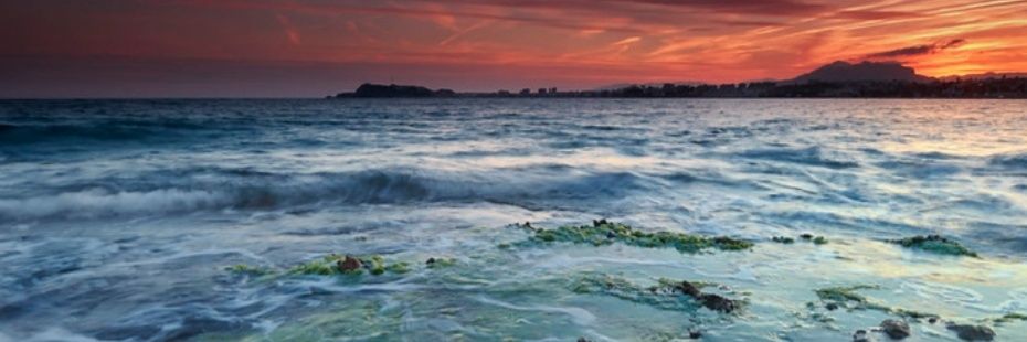 thalassa_66's profile banner image
