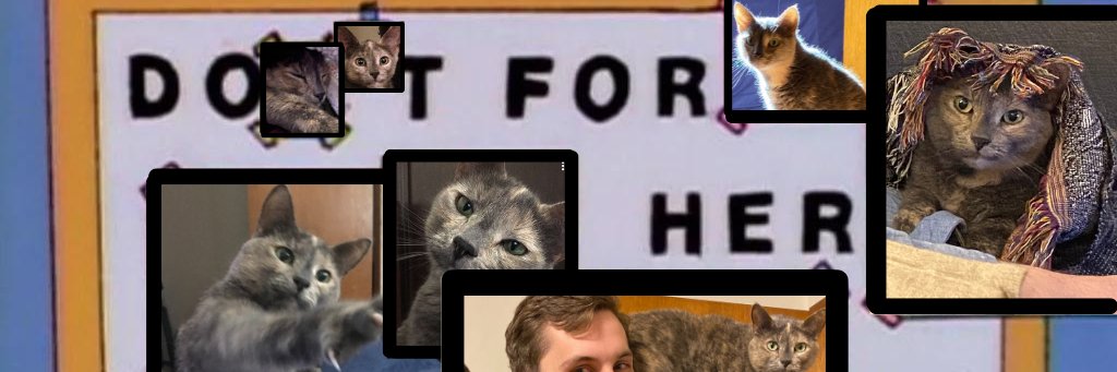 Elise Orlick 🗳 banner