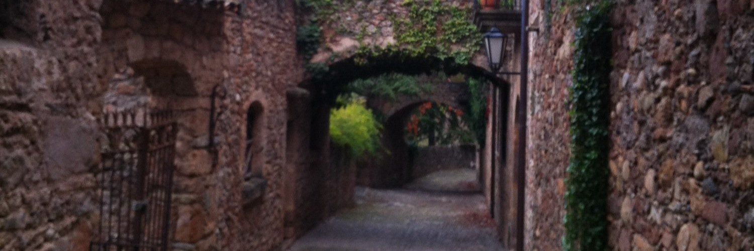 silvimaca's profile banner image