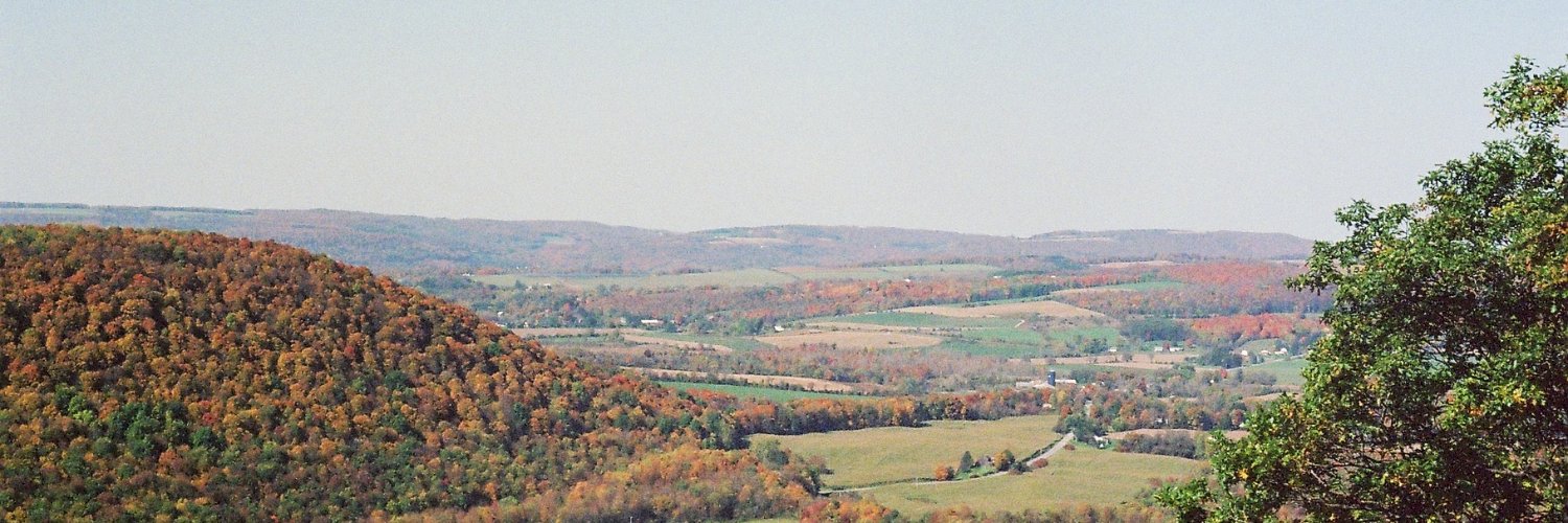 jonzella's profile banner image