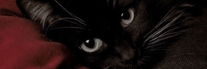 Layonslb's profile banner image