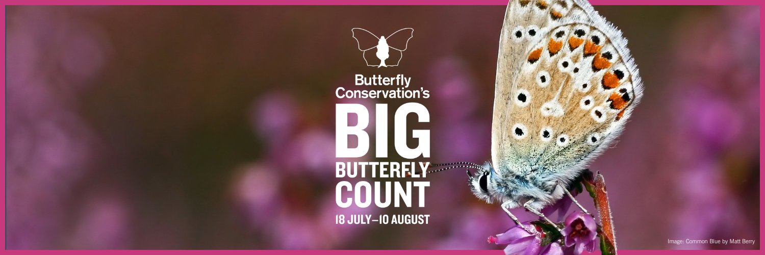 Butterfly Conservation 🦋's banner
