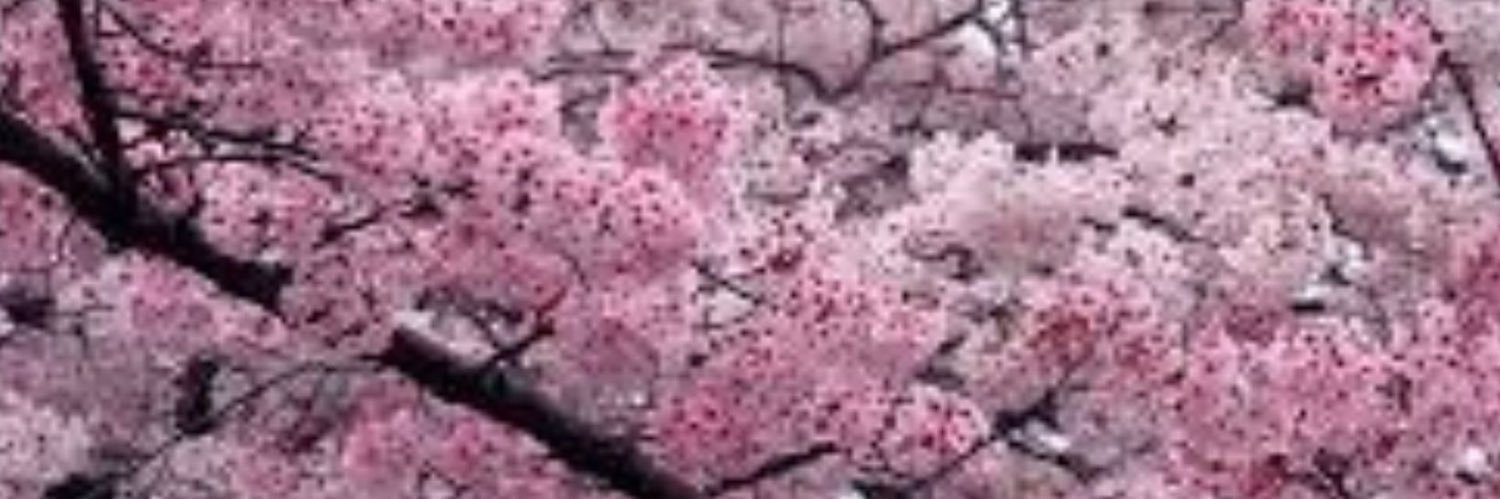 MorganRoss87's profile banner image
