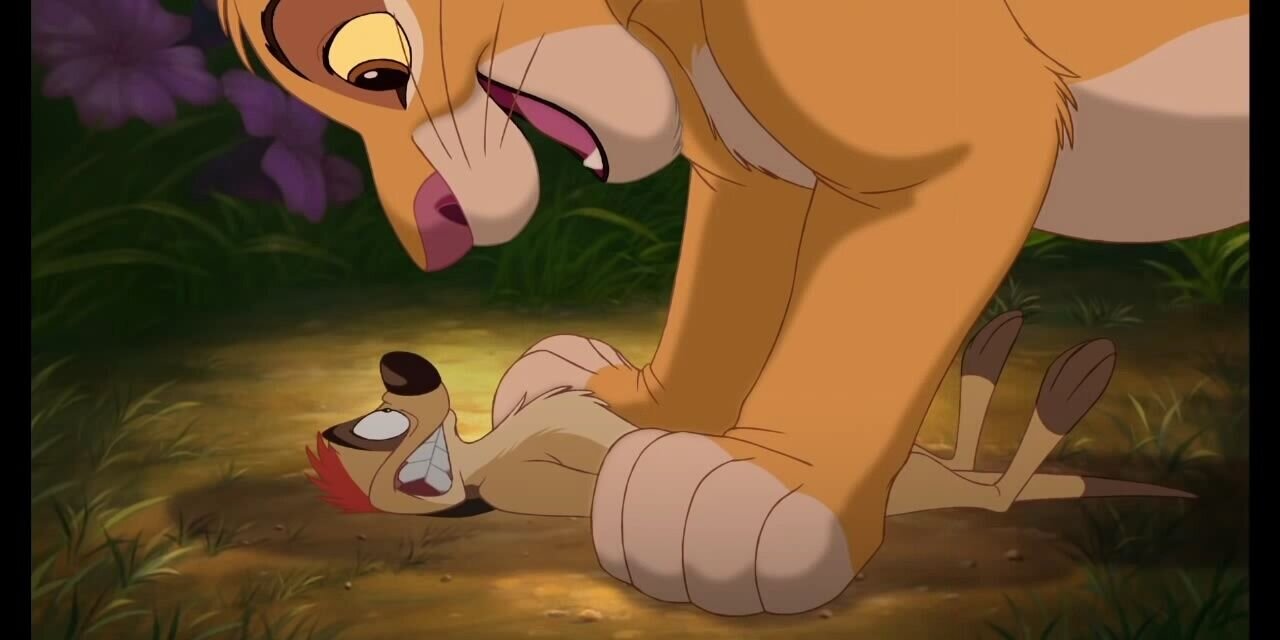 MDUTimon's profile banner image