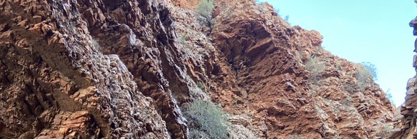 snoyl_ Profile Banner