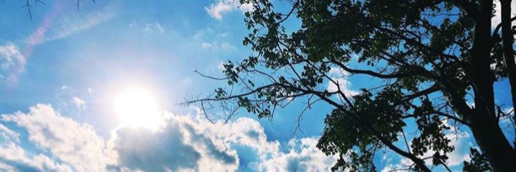 tbhmash's profile banner image
