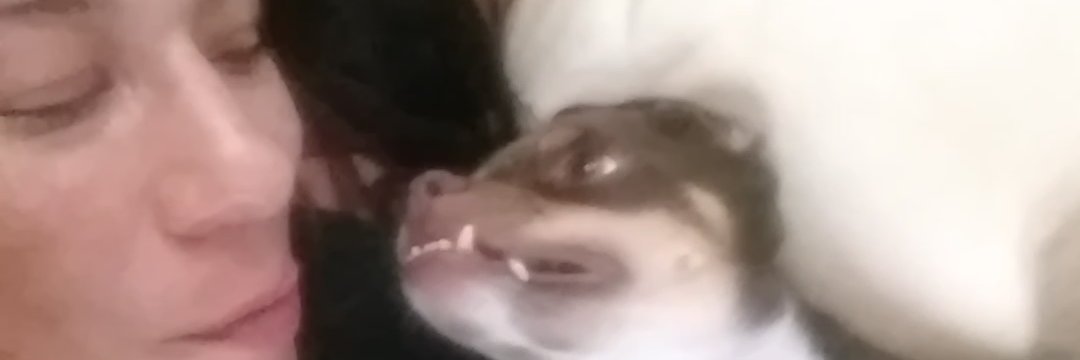 michellelynn360's profile banner image