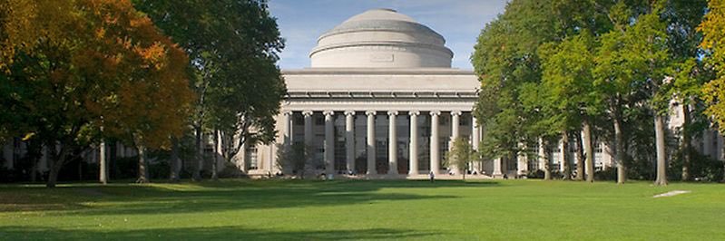 Lily of the valley banner