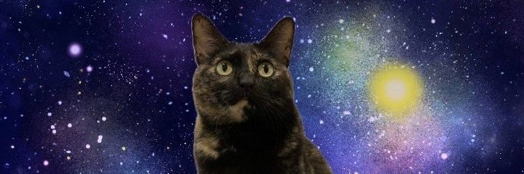 PPPyamaPPP's profile banner image