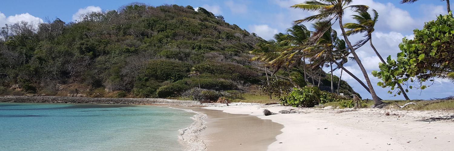 Quetsch 🇨🇭🇨🇵 banner