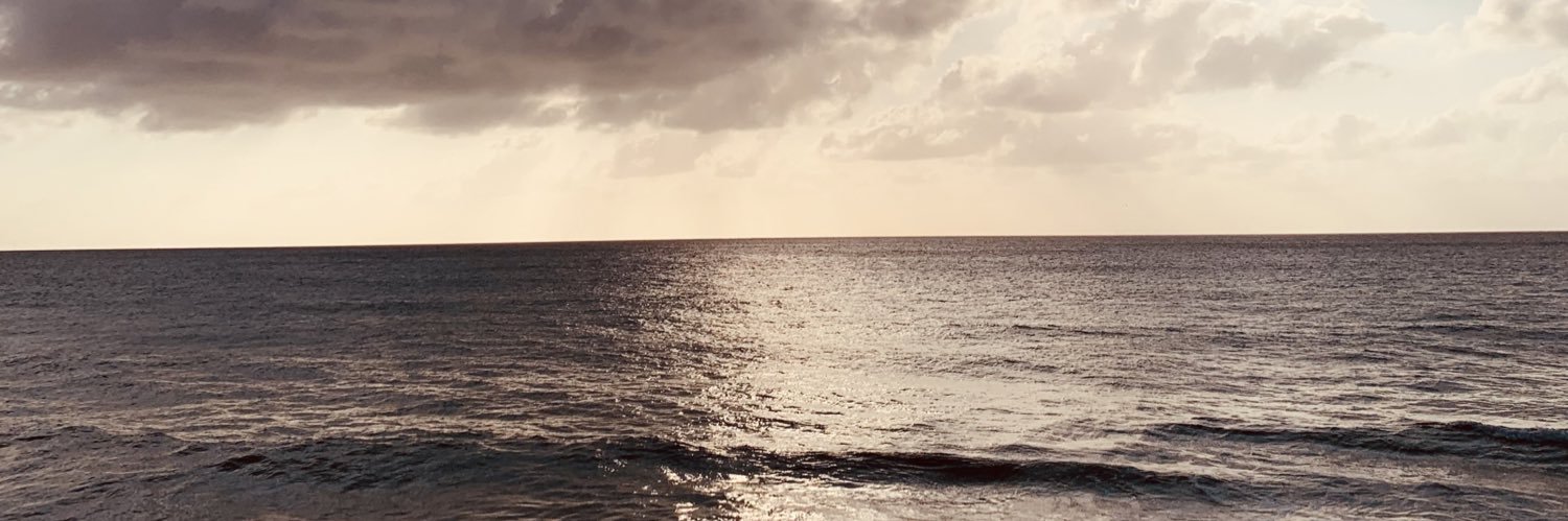 FelipeCoral_'s profile banner image