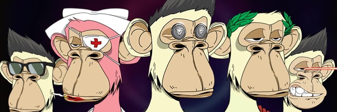 NFTD4ily's profile banner image